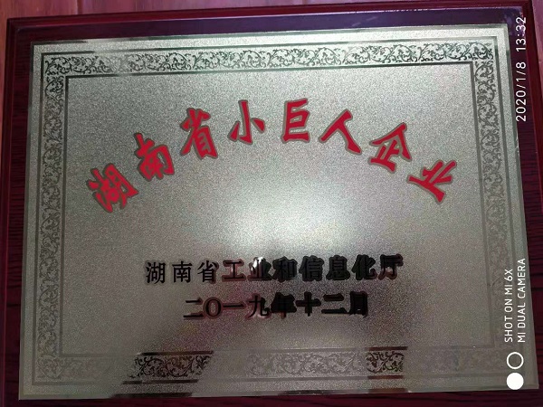 湖南省小巨人企業(yè)